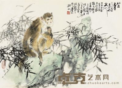 韩敏 慈猴图 44.5×61.5cm