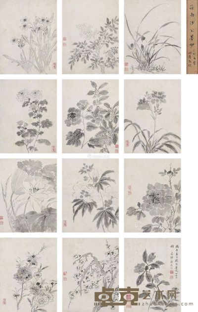 蒋廷锡 花卉册 28×22cm×12