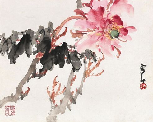 赵少昂 牡丹