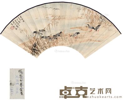 吴青霞 芦雁图 51×18cm