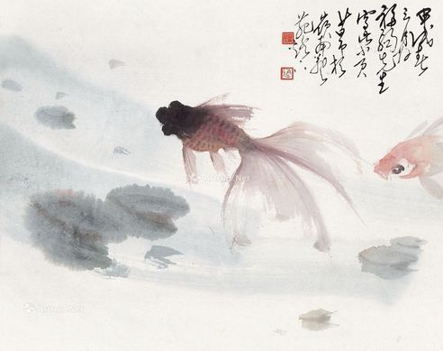 赵少昂 莲池金鱼