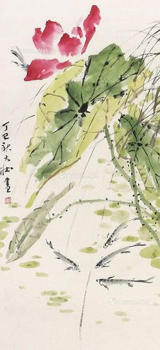 张大壮 荷花