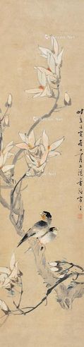 张雪鸿 花鸟