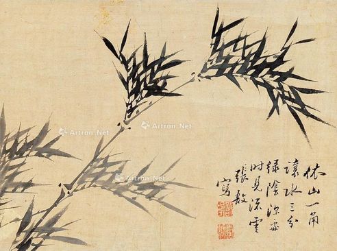 张雪鸿 竹石