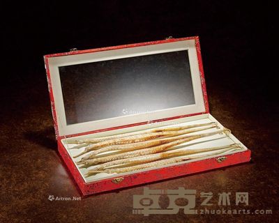 特大号野生海龙