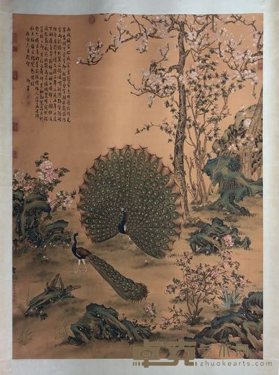 郎世宁·孔雀花草图 