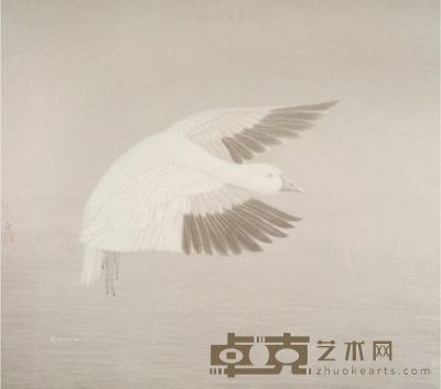 杨立奇 白鹅 44×49cm