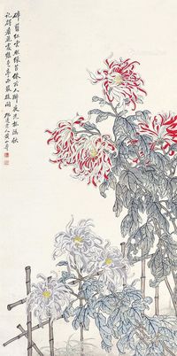 黄山寿 菊花