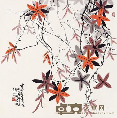 力群 枫叶 70×79cm