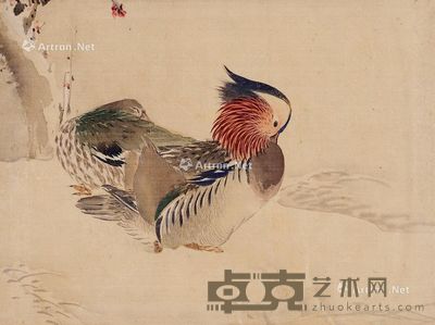 佚名 花鸟 20×36cm