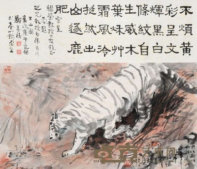 杨之光 白虎出山 37×69cm