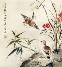 江寒汀 花鸟