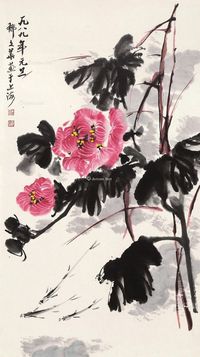 郁文华 花卉