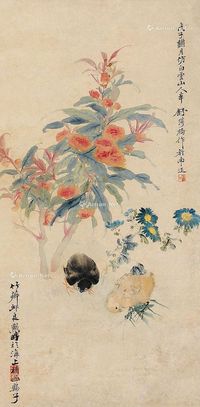 舒浩 花卉