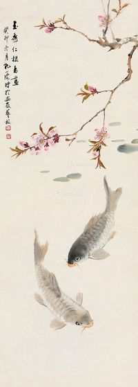 孔小瑜 桃花鲤鱼