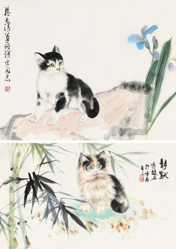 赵韫玉等 猫