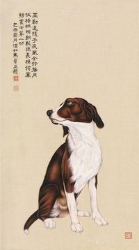 马晋 犬