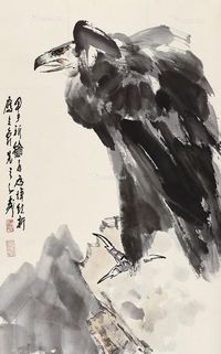 王子武 鹰