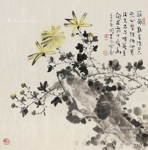 霍春阳 菊石图