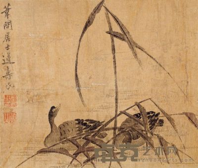 边寿民（款） 芦雁图 23×27.5cm