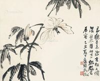 吴征 花卉