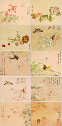 翁小海 花鸟