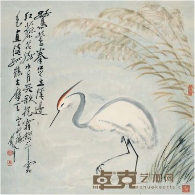 田原 白鹭芦苇图 68.5×68.5cm