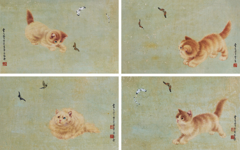 曹克黉 猫蝶图