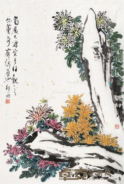 潘然 菊石图 73×49cm