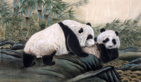 王生勇 《熊猫》 