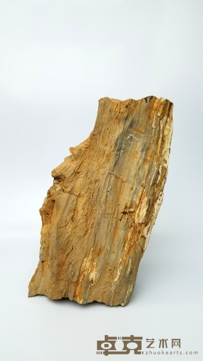 奇石摆件（树化石）   45×25cm