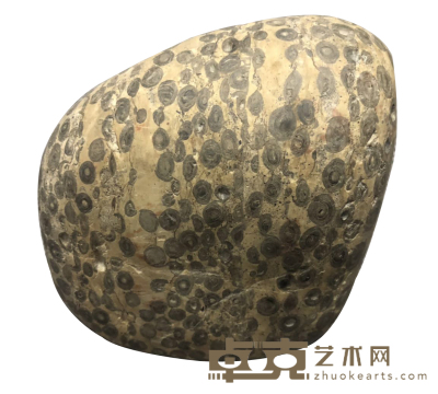 化石奇石摆件 重量：3211g