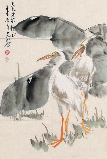 郑克明  白鹭