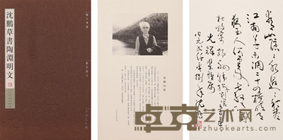 沈鹏 书法 37.5cm×34cm 约 1.1 平尺