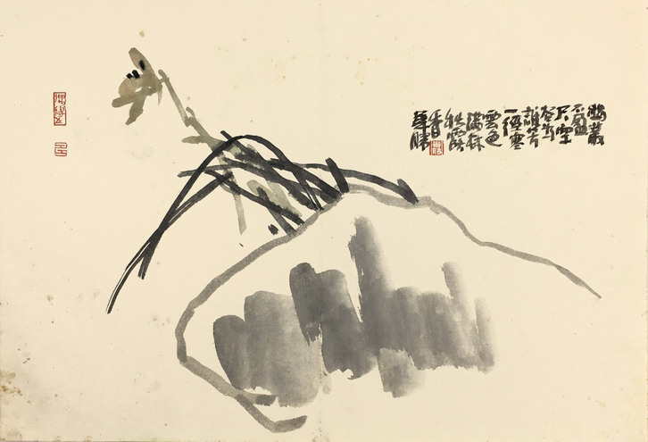 张华胜 兰花