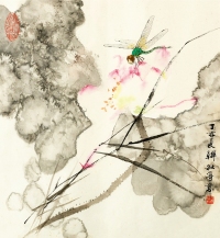 韩 敏  荷花蜻蜓图