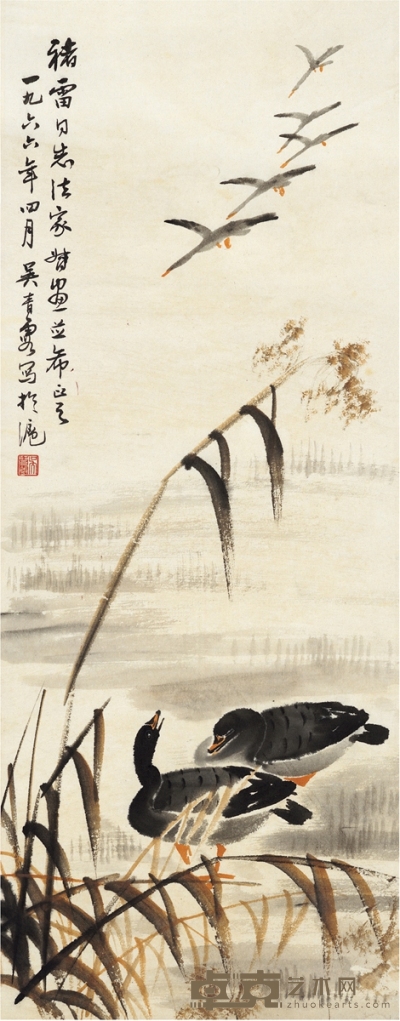 吴青霞 芦雁图 76.5×30cm