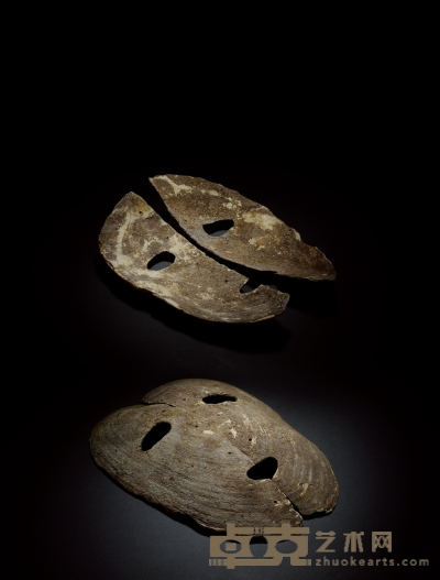 商·特大型人脸形蚌贝币一组二枚 通长250-260mm