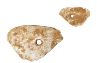 商·中型带孔鱼头形蚌贝币