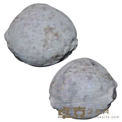蛋化石奇石 直径：8.5cm重：588g