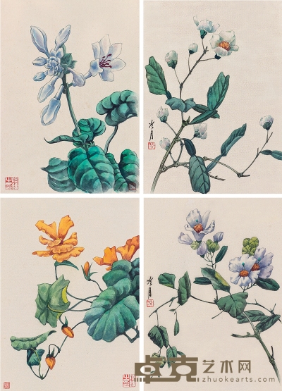 陶冷月 花卉（四件一组） 25×19cm×2, 27×19cm×2