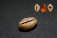 夏·草原文化大孔式玉贝币