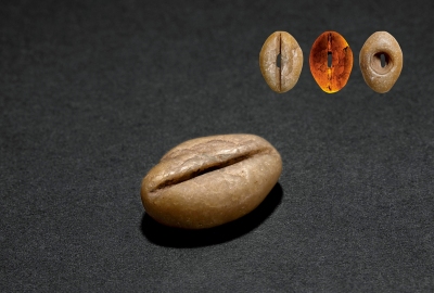 夏·草原文化大孔式玉贝币