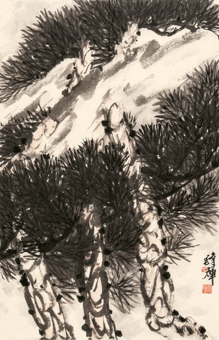 马锋辉   浓荫可焘