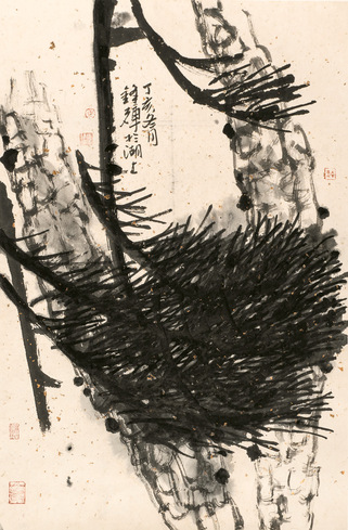 马锋辉   虬甲龙鬚