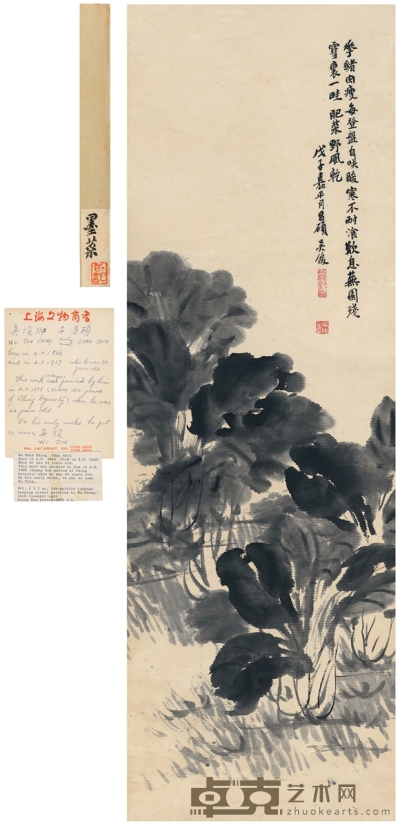 吴昌硕 白菜图 95.5×32cm  