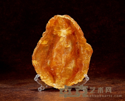 约20年鳘鱼胶