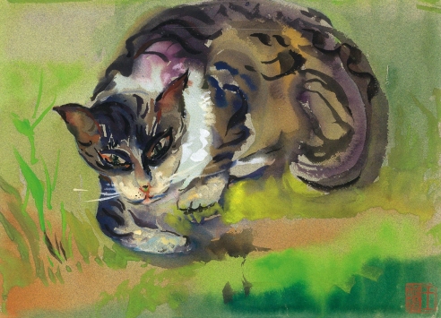 王济远 猫