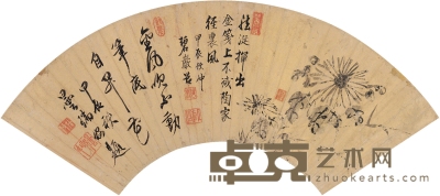 性节禅师 菊花图 49×15.5cm 