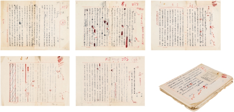 王 瑶 有关中国文学史研究的文稿六种